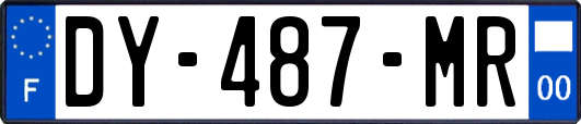 DY-487-MR