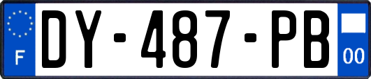 DY-487-PB