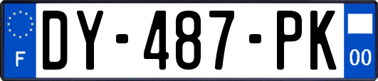 DY-487-PK