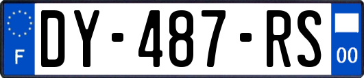 DY-487-RS