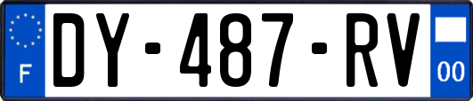 DY-487-RV