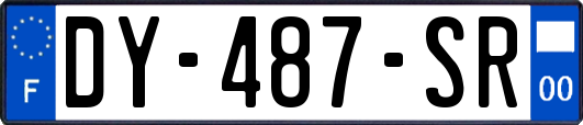 DY-487-SR