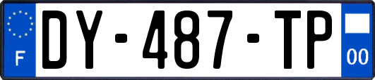 DY-487-TP