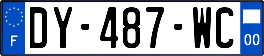 DY-487-WC