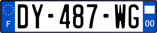 DY-487-WG