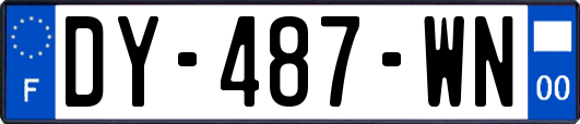 DY-487-WN