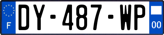 DY-487-WP