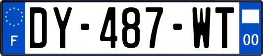 DY-487-WT