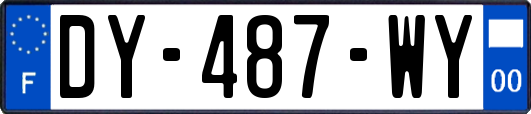 DY-487-WY