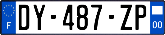 DY-487-ZP