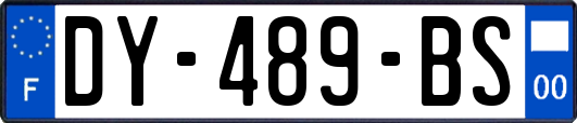 DY-489-BS