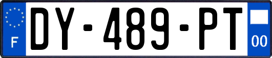 DY-489-PT