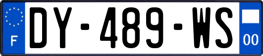 DY-489-WS