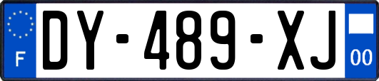 DY-489-XJ