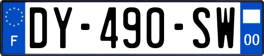 DY-490-SW