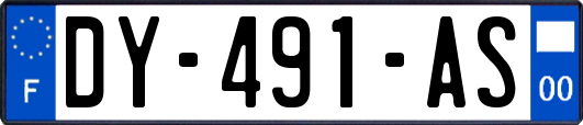 DY-491-AS