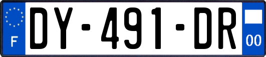 DY-491-DR