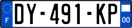 DY-491-KP