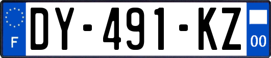 DY-491-KZ