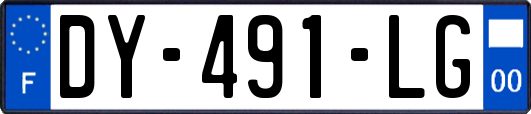 DY-491-LG