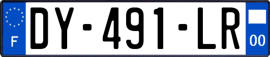 DY-491-LR