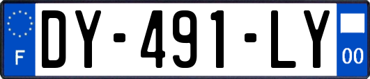 DY-491-LY