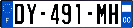 DY-491-MH