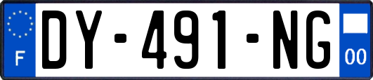 DY-491-NG