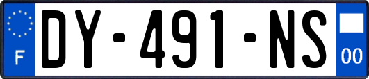 DY-491-NS