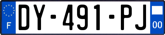 DY-491-PJ