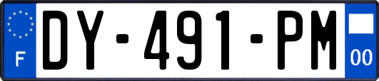 DY-491-PM