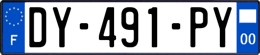 DY-491-PY