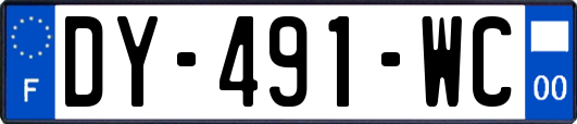 DY-491-WC