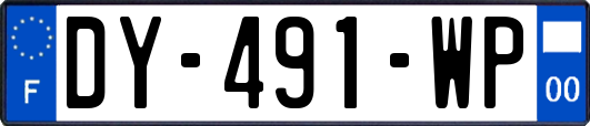 DY-491-WP