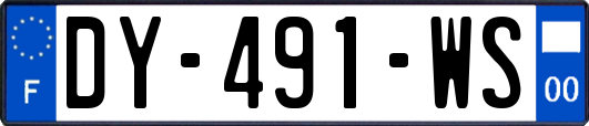 DY-491-WS