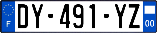 DY-491-YZ