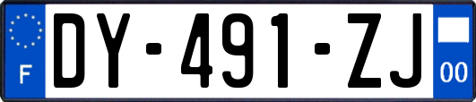 DY-491-ZJ