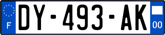 DY-493-AK