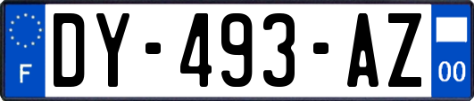 DY-493-AZ