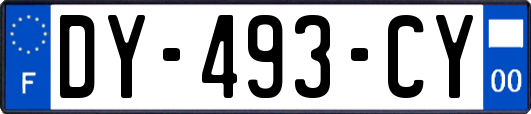 DY-493-CY