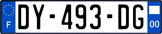 DY-493-DG