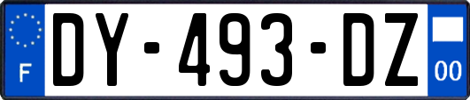 DY-493-DZ