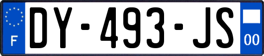 DY-493-JS