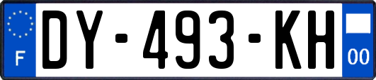 DY-493-KH