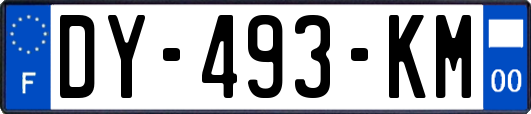 DY-493-KM