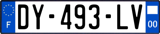 DY-493-LV