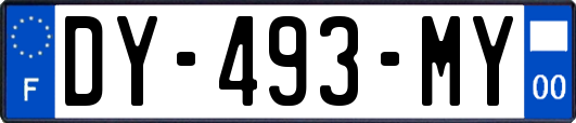 DY-493-MY