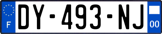 DY-493-NJ