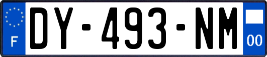 DY-493-NM