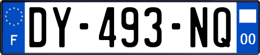 DY-493-NQ